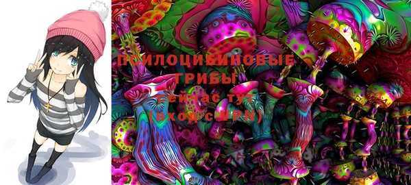 PSILOCYBIN Арсеньев