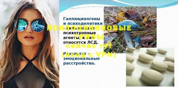 PSILOCYBIN Арсеньев