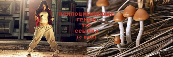 PSILOCYBIN Арсеньев