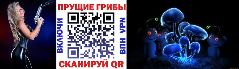 Псилоцибиновые грибы Cubensis  Купить закладки  Апрелевка 